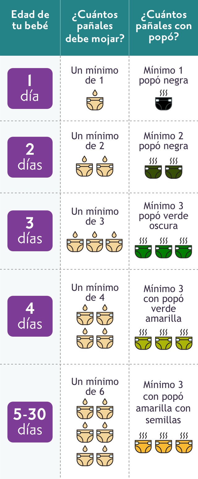 La tabla de pañales muestra la cantidad de pañales que tu bebé debe mojar y ensuciar del día 1 al 30. Ve la descripción completa bajo el encabezado Tabla de pañales.